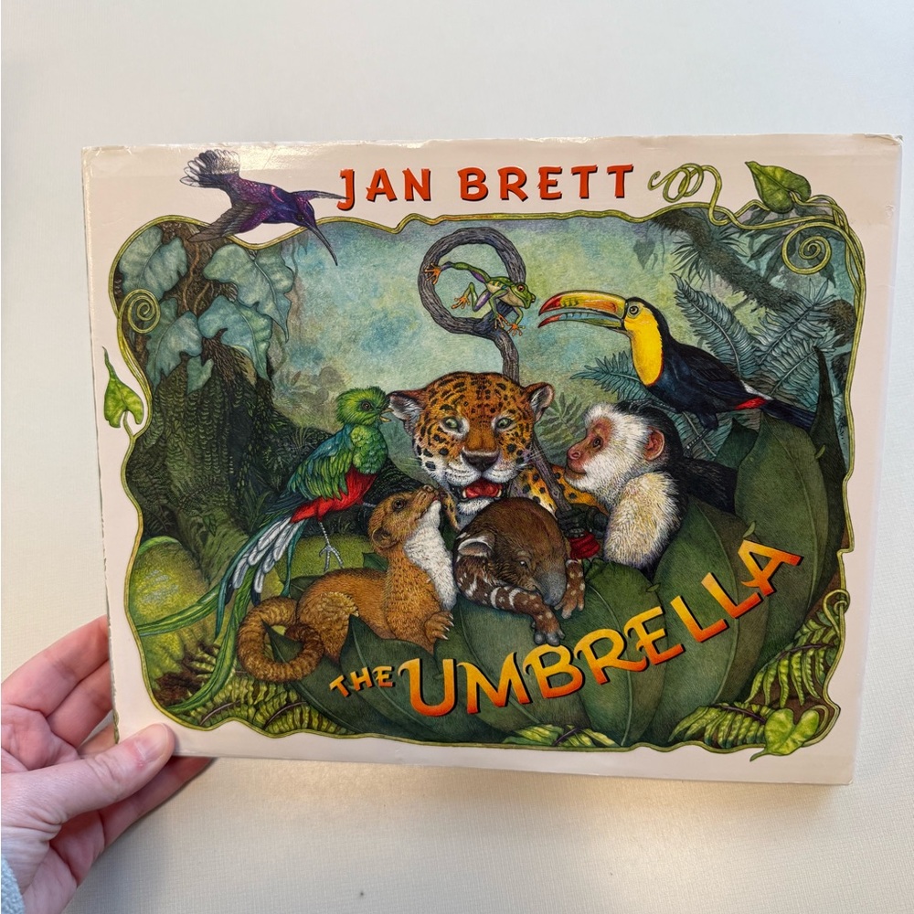 The Umbrella by Jan Brett Book